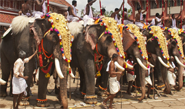 പൂ​​​രം ഒ​​​രാ​​​ന​​​പ്പു​​​റ​​​ത്ത്  ന​​​ട​​​ത്തേ​​​ണ്ടി​​​വ​​​രും: തി​​​രു​​​വ​​​മ്പാ​​​ടി ദേ​​​വ​​​സ്വം