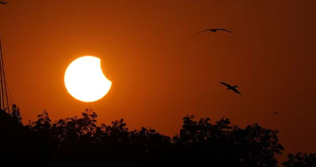 മ​ര​ണം പൂ​ക്കു​ന്ന പാ​ട​ങ്ങ​ള്‍