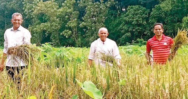 മണ്ണിൽ പൊന്നു വിളയിക്കും വെെദികർ